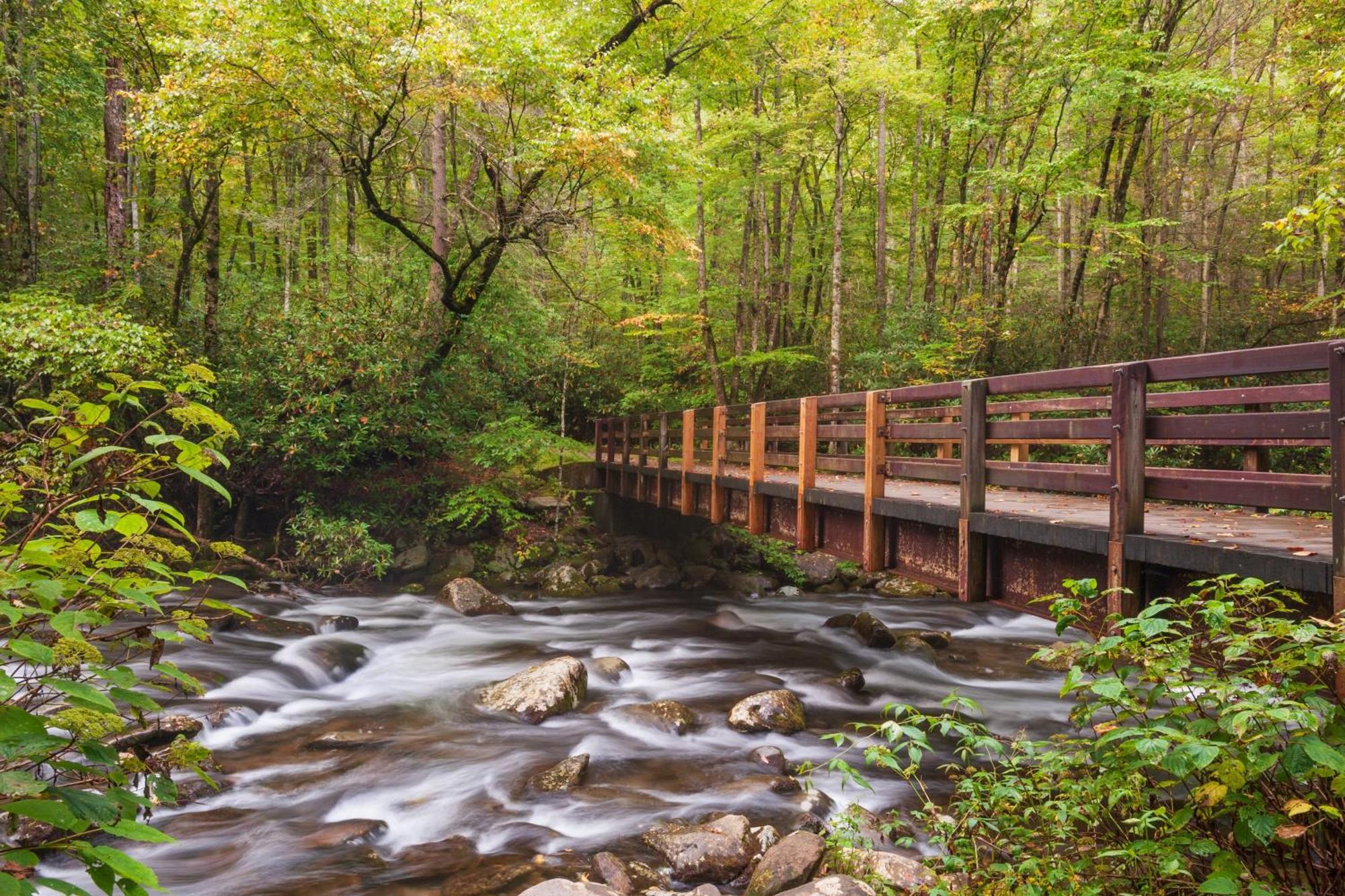 Breathtaking View, Hot Tub, 1089 Of Free Attraction Tickets For Each Paid Day, Dollywood And More! Sevierville Exterior foto